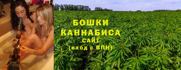 хмурый Елизово