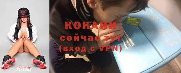 хмурый Елизово