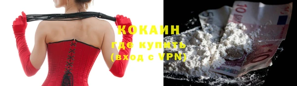 прущая мука Ельня