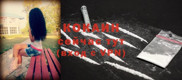 прущая мука Ельня